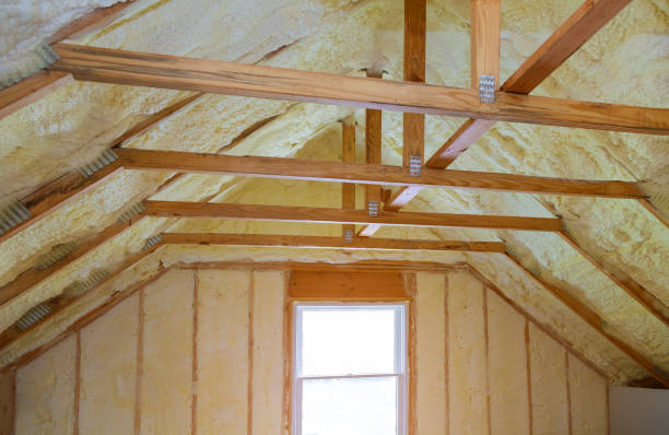 Best Spray Foam Insulation in Anahuac, TX