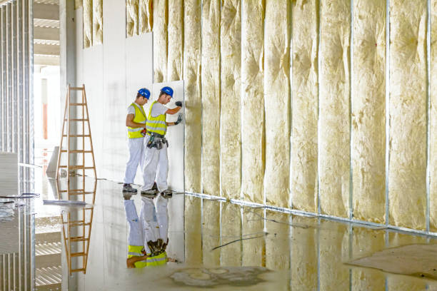 Best DIY Insulation Kits and Guidance in Anahuac, TX